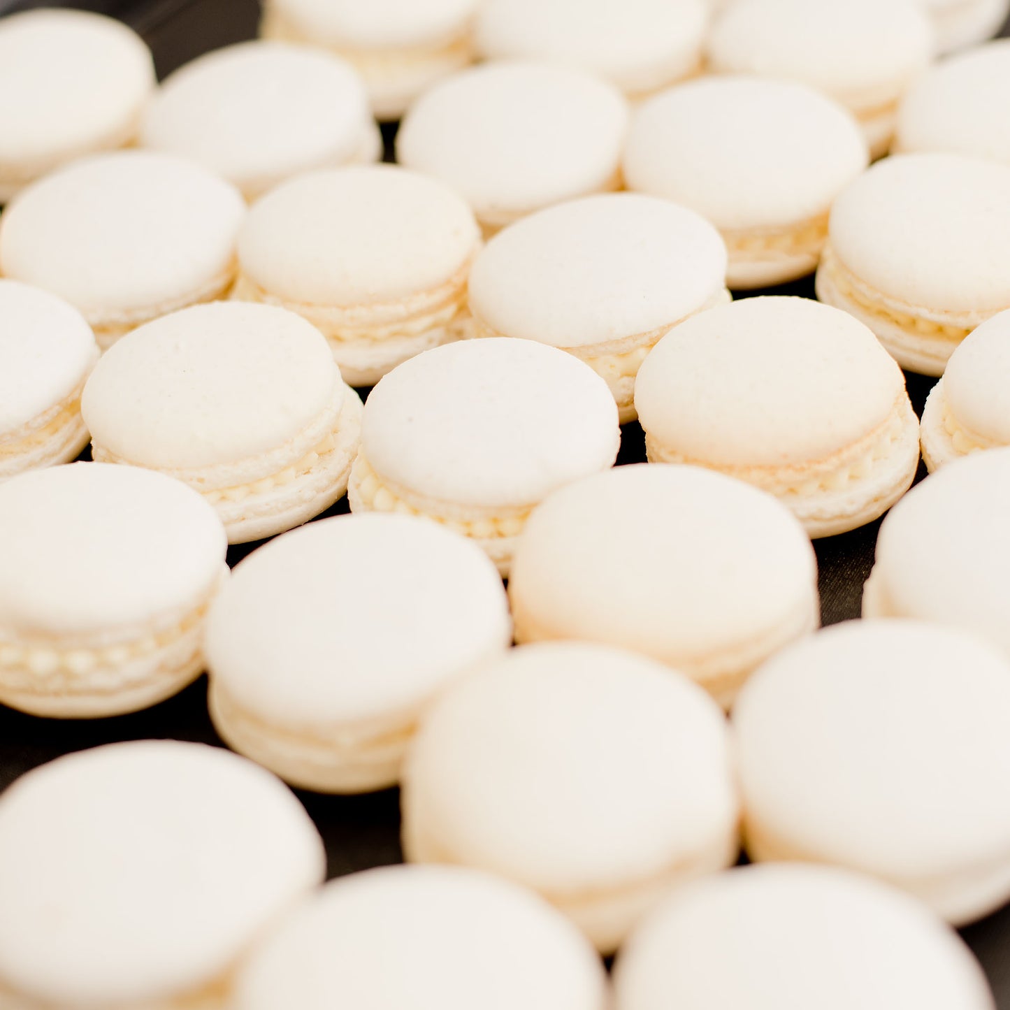 Macarons 40 pack bulk