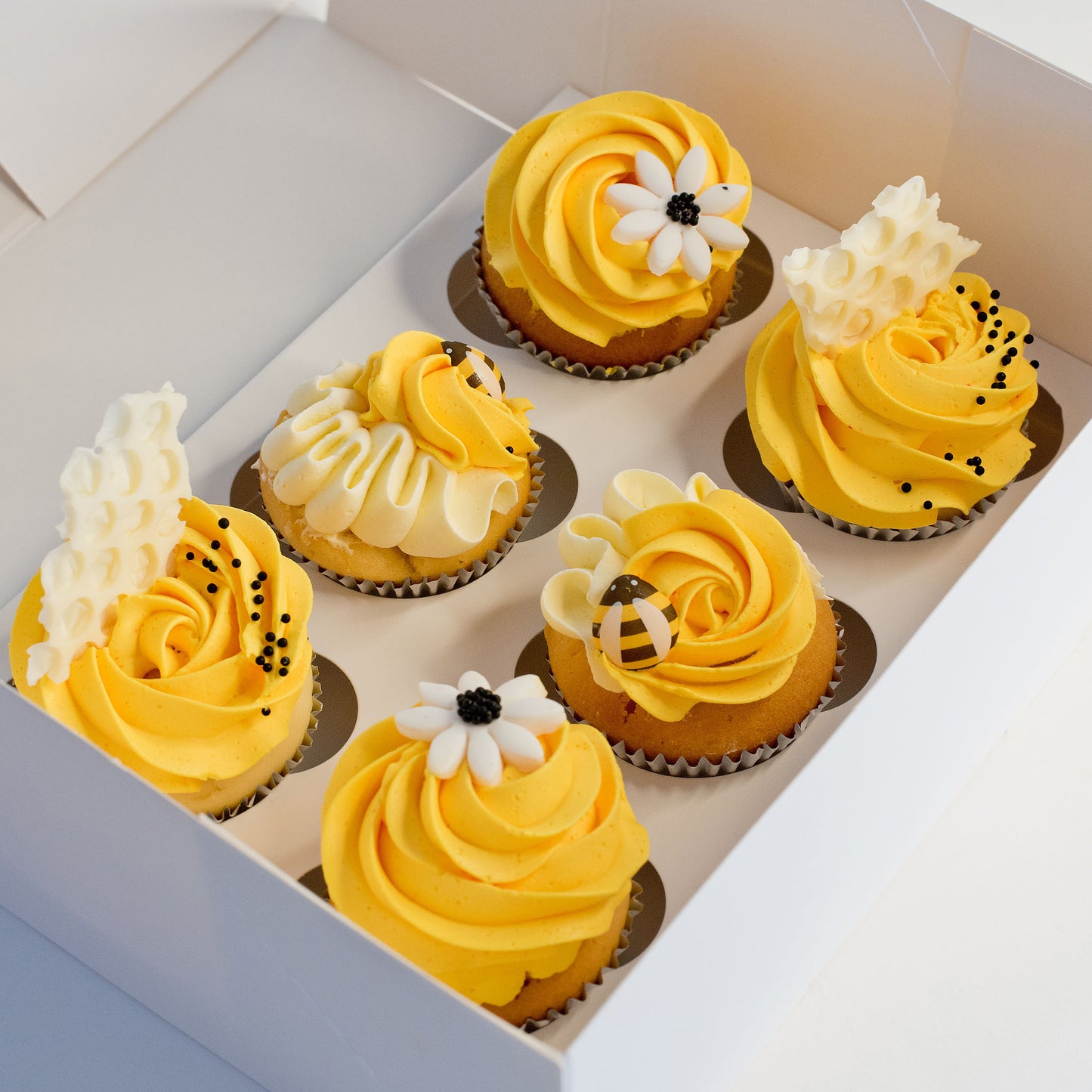 You are my Sunshine- Cupcakes