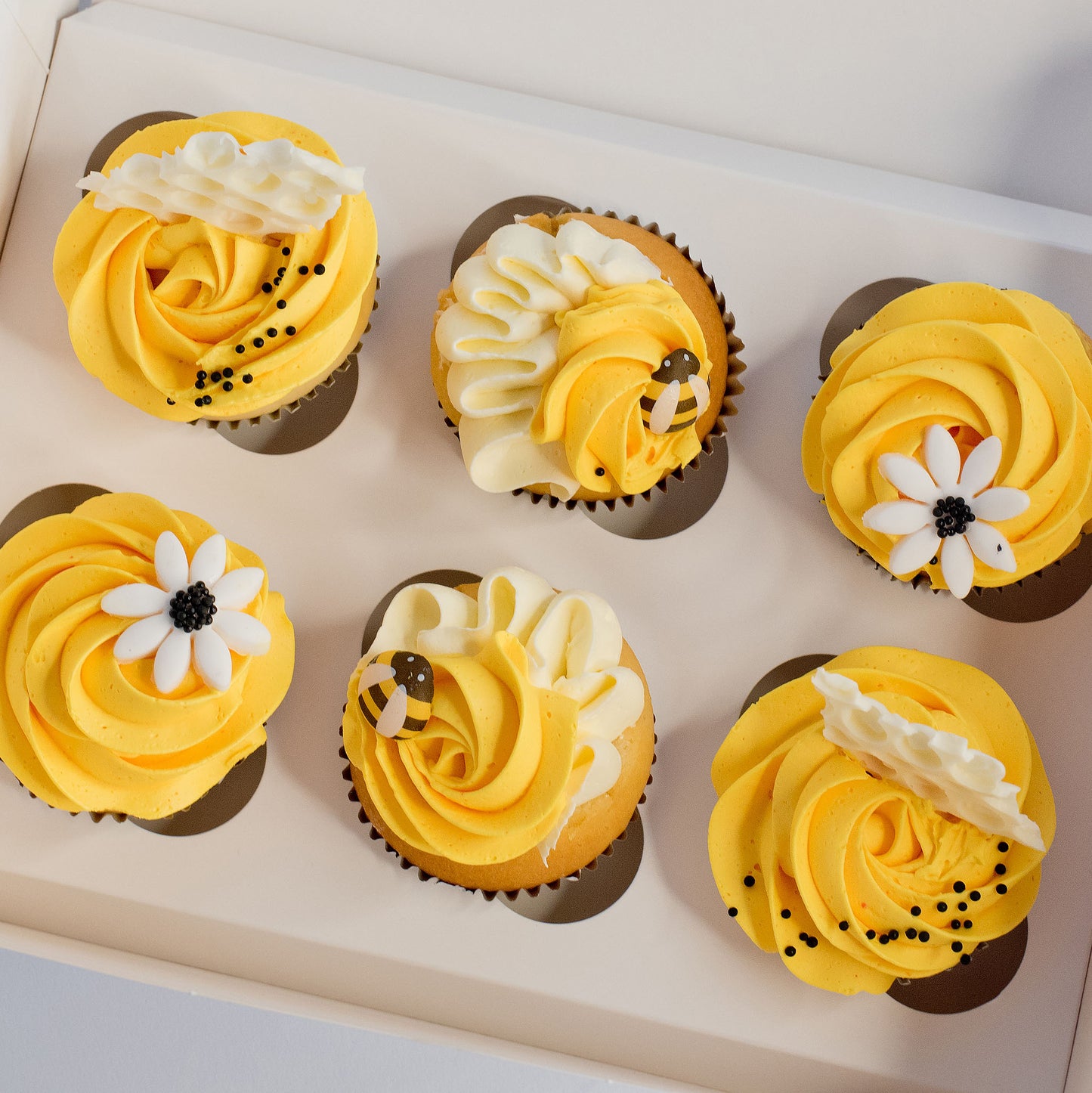 You are my Sunshine- Cupcakes