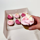 Pink Harmony Cupcakes