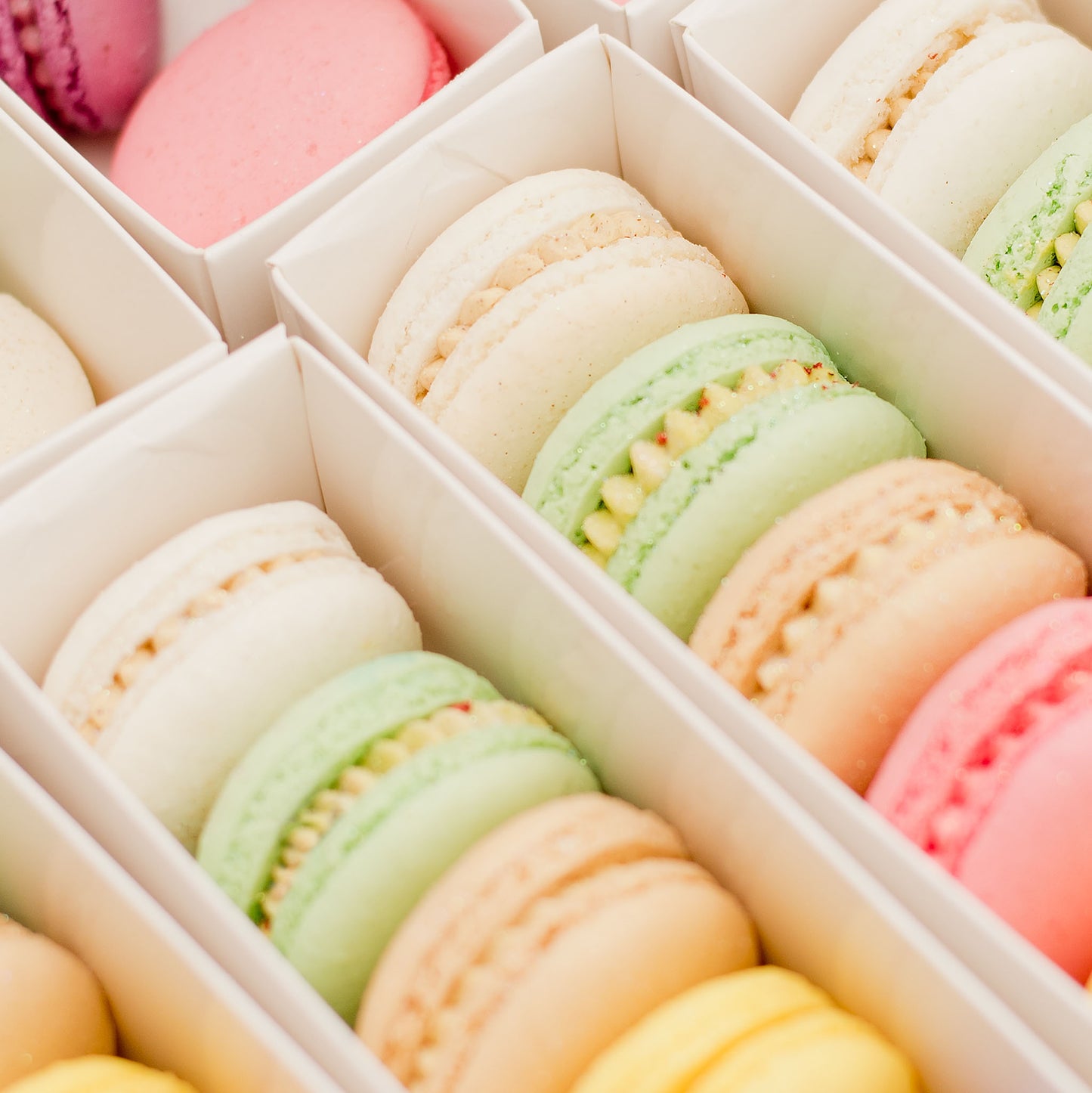 Macarons