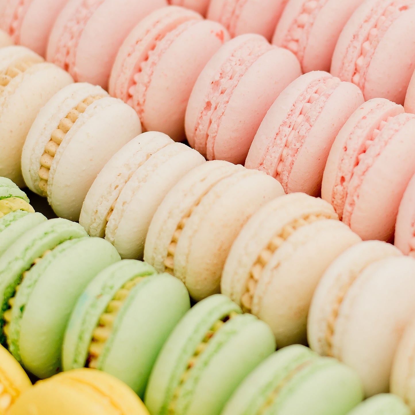 Macarons 40 pack bulk