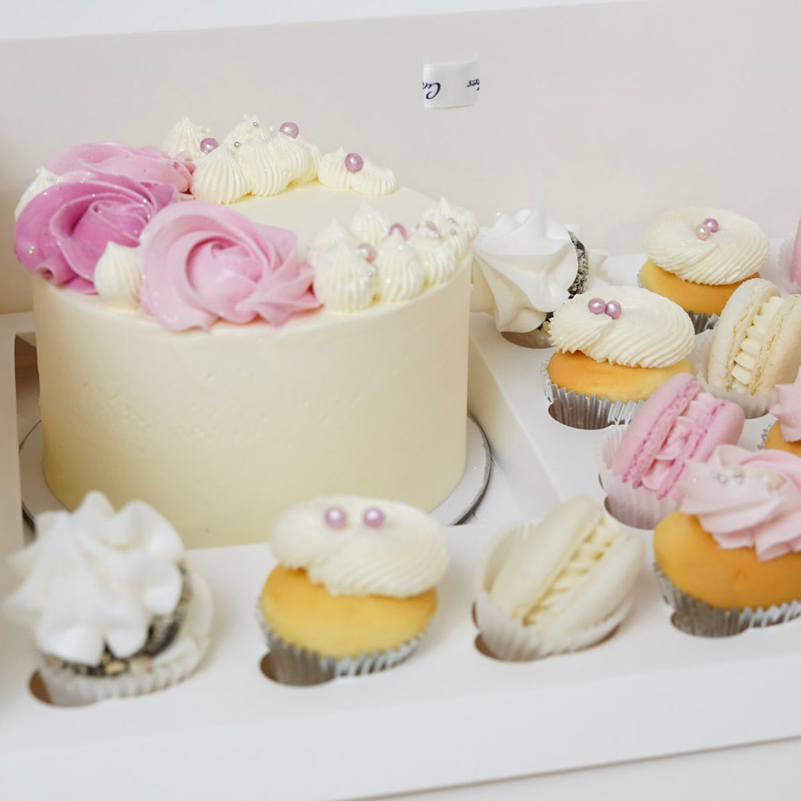 Cute Cake Pack - Mini Ava