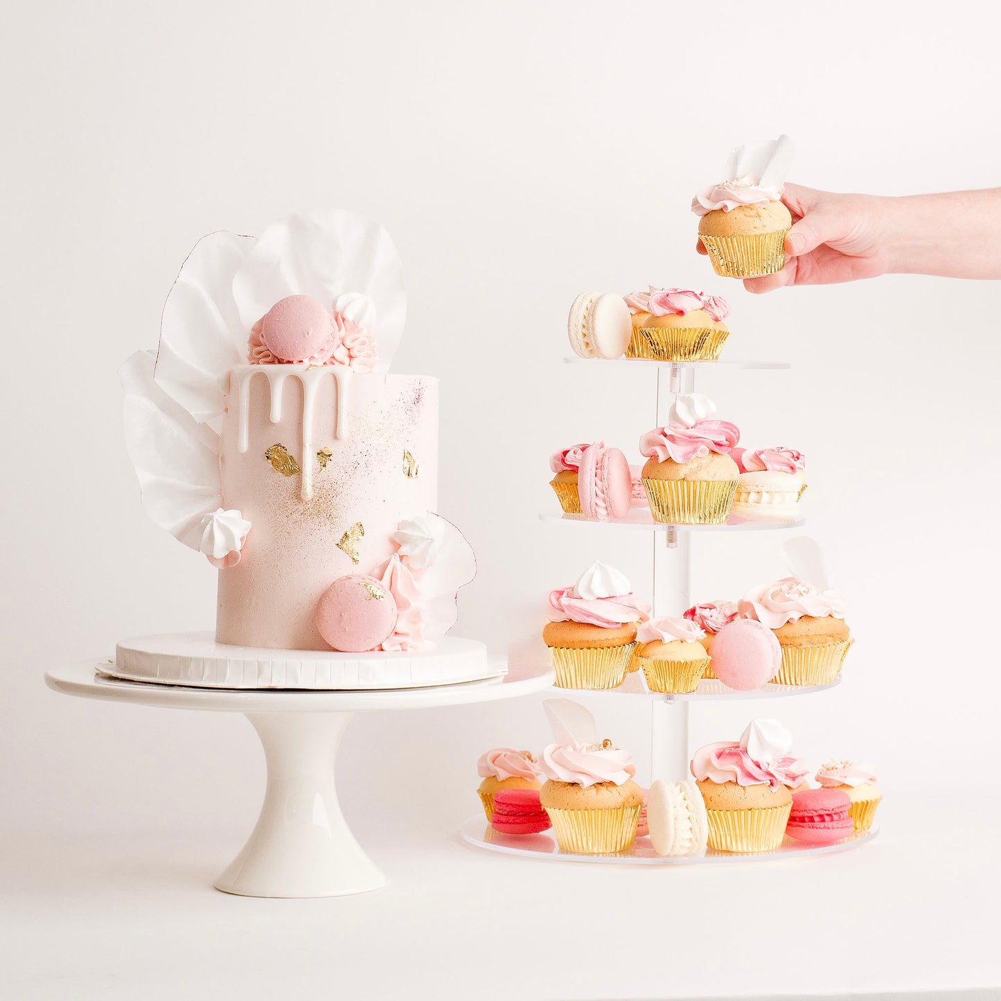 Sophia Pink - Perfect Party Pack to serve 55