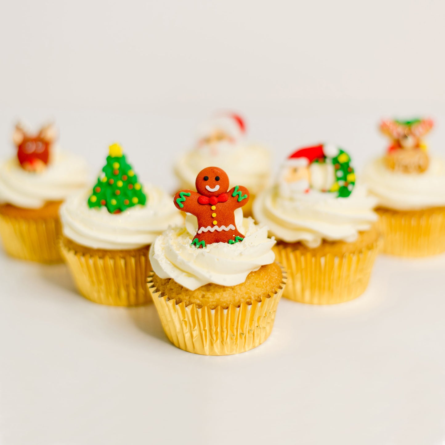 Fun and cheerful Christmas cupcakes. Celebrate with these gorgeous cup cakes, birthday cakes Brisbane, cake shops Brisbane, cupcakes Brisbane, cake shop Brisbane, Cute Cakes & Co, Cute Cakes and Co