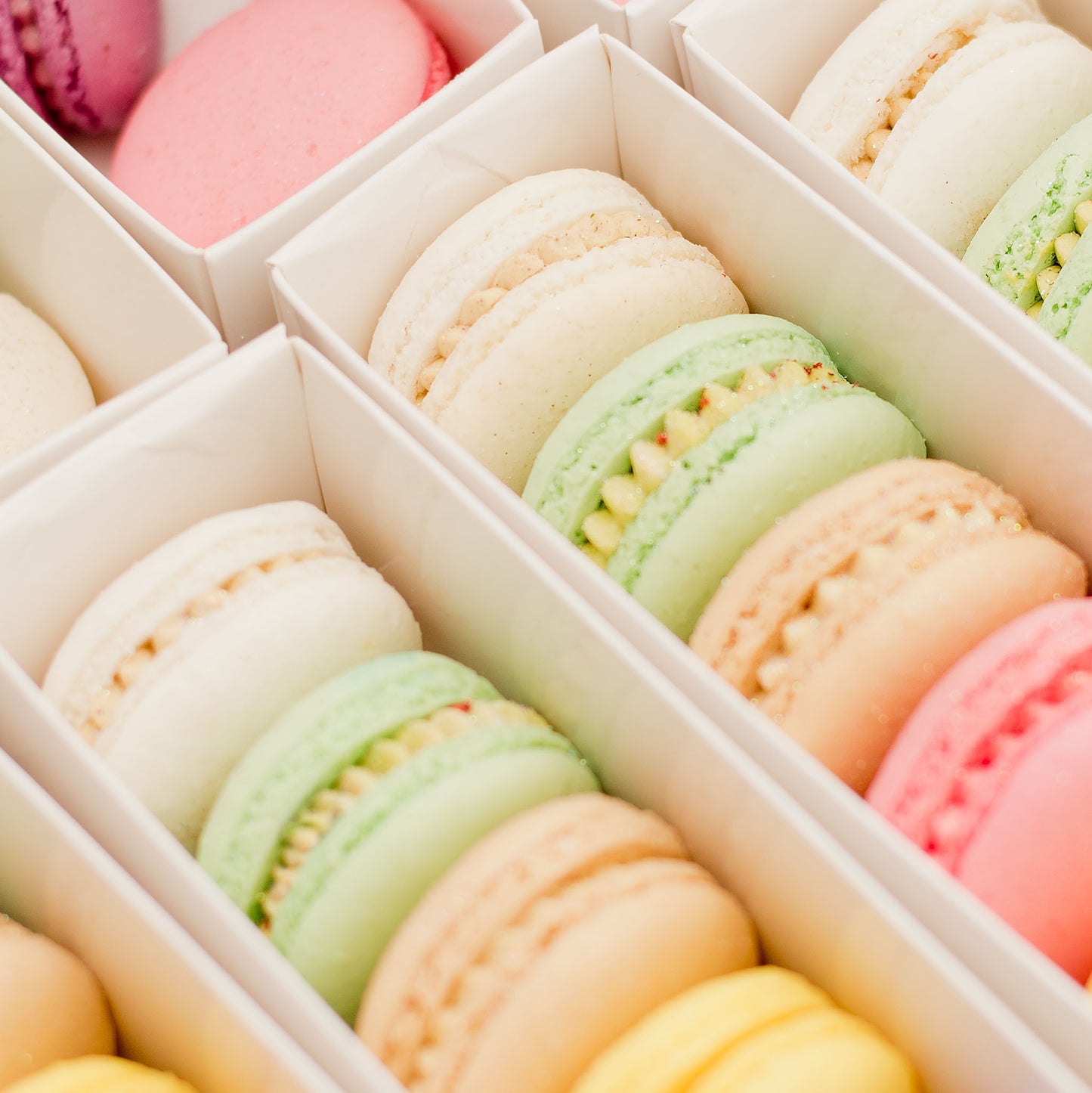 Macarons